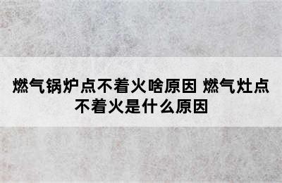 燃气锅炉点不着火啥原因 燃气灶点不着火是什么原因